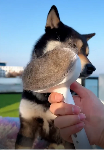 Gentle Soothing Pet Grooming Brush